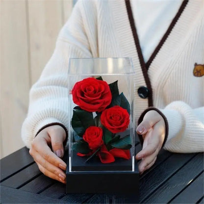 Preserved Red Roses In Box