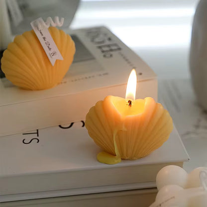 Crafts Shell Art Essential