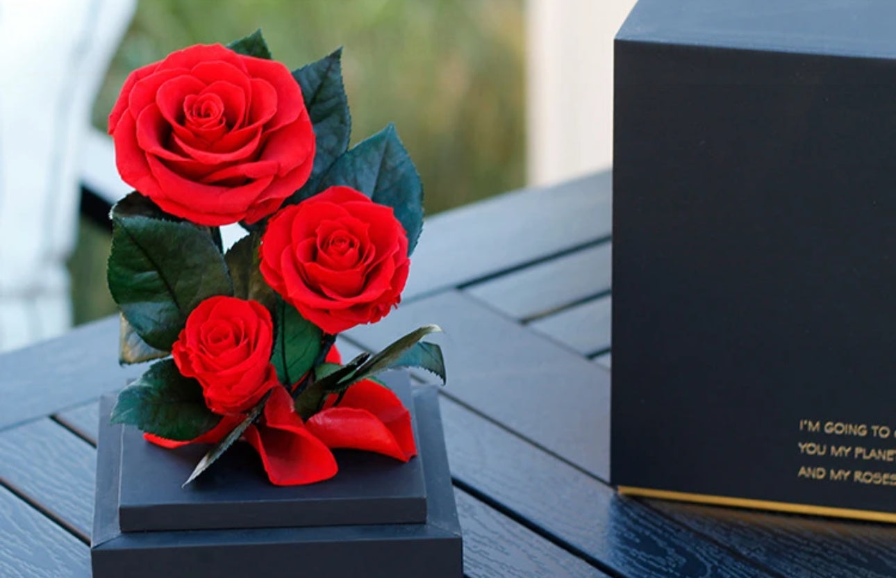 Preserved Red Roses In Box