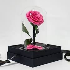 Pink Preserved Rose
