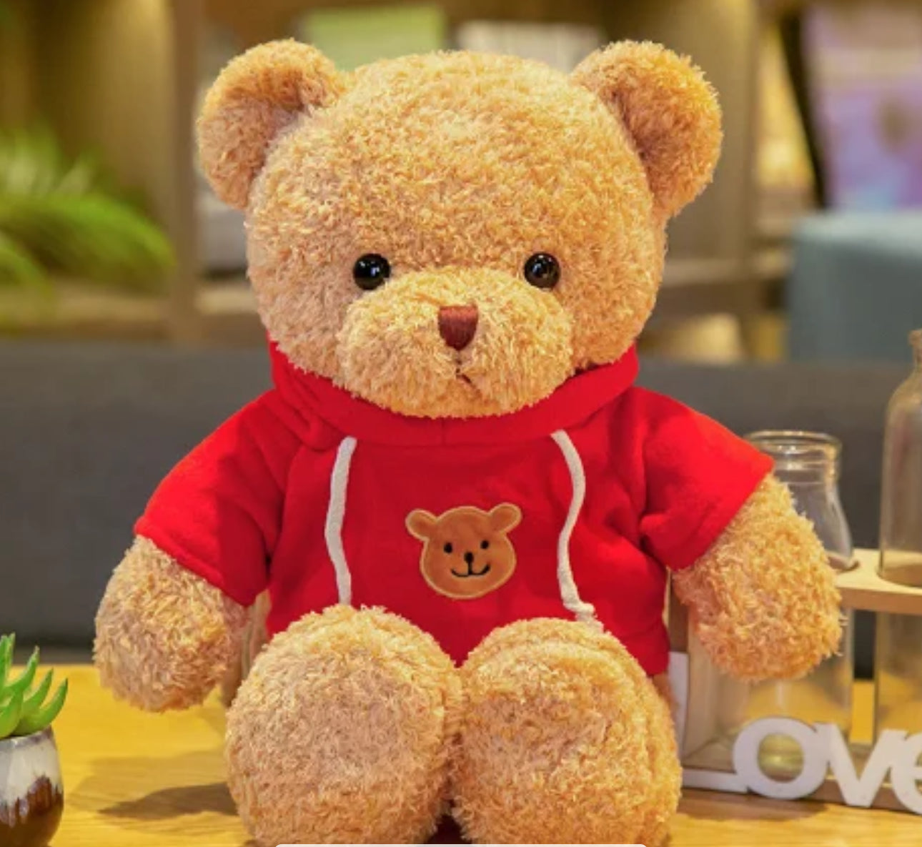 Light-Up Cuddle Teddy Bear with Hoddie