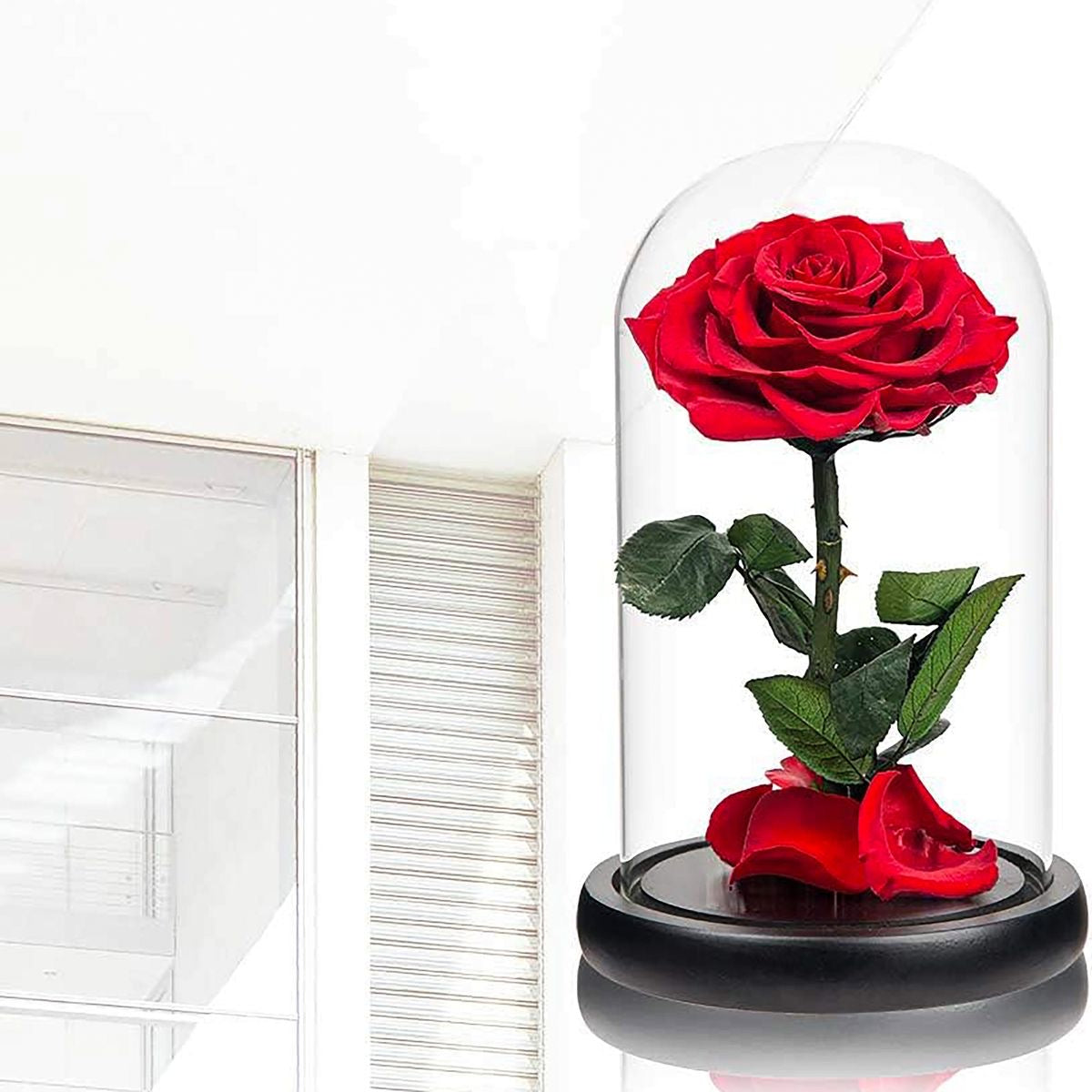 Preserved Red Rose By Giftkart 🌹🌹