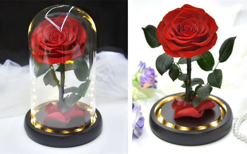 Enduring Elegance Preserved Rose