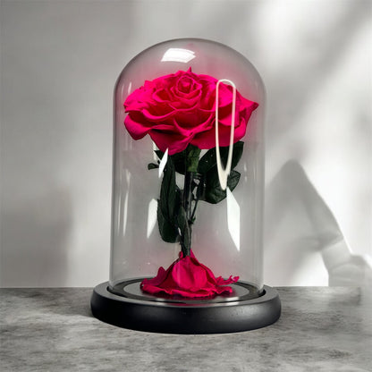 Pink Preserved Rose