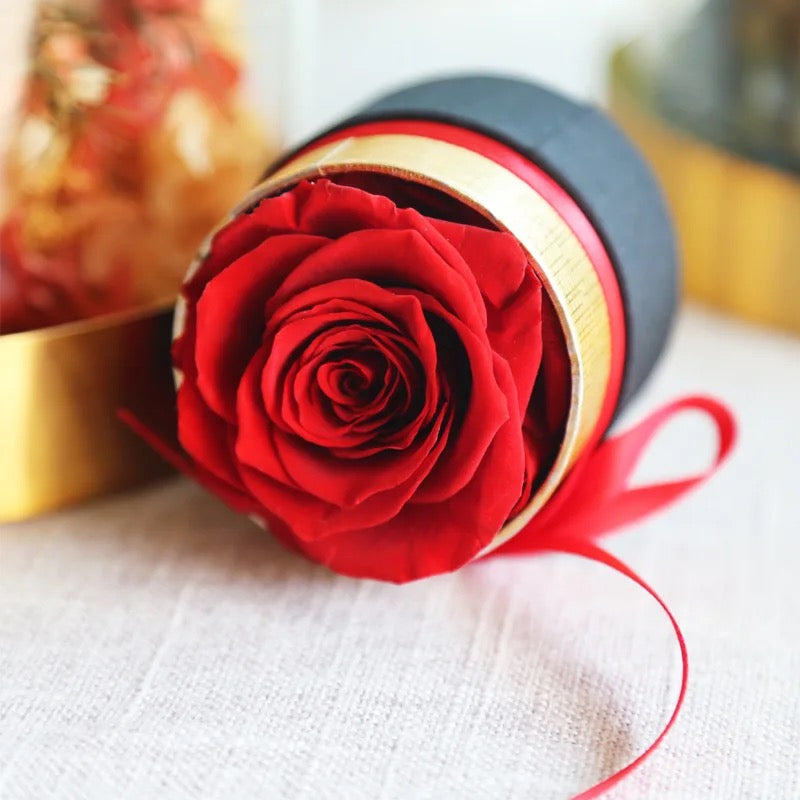 Red preserved Rose