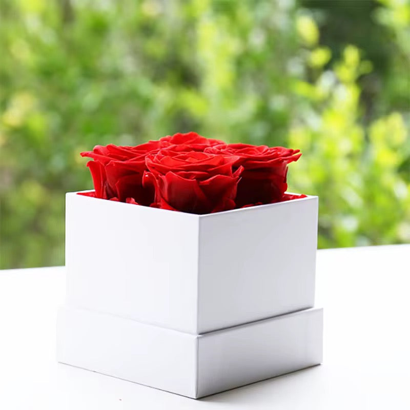 Eternal Preserved Roses in Luxury White Box – Lasts 1–3 Years