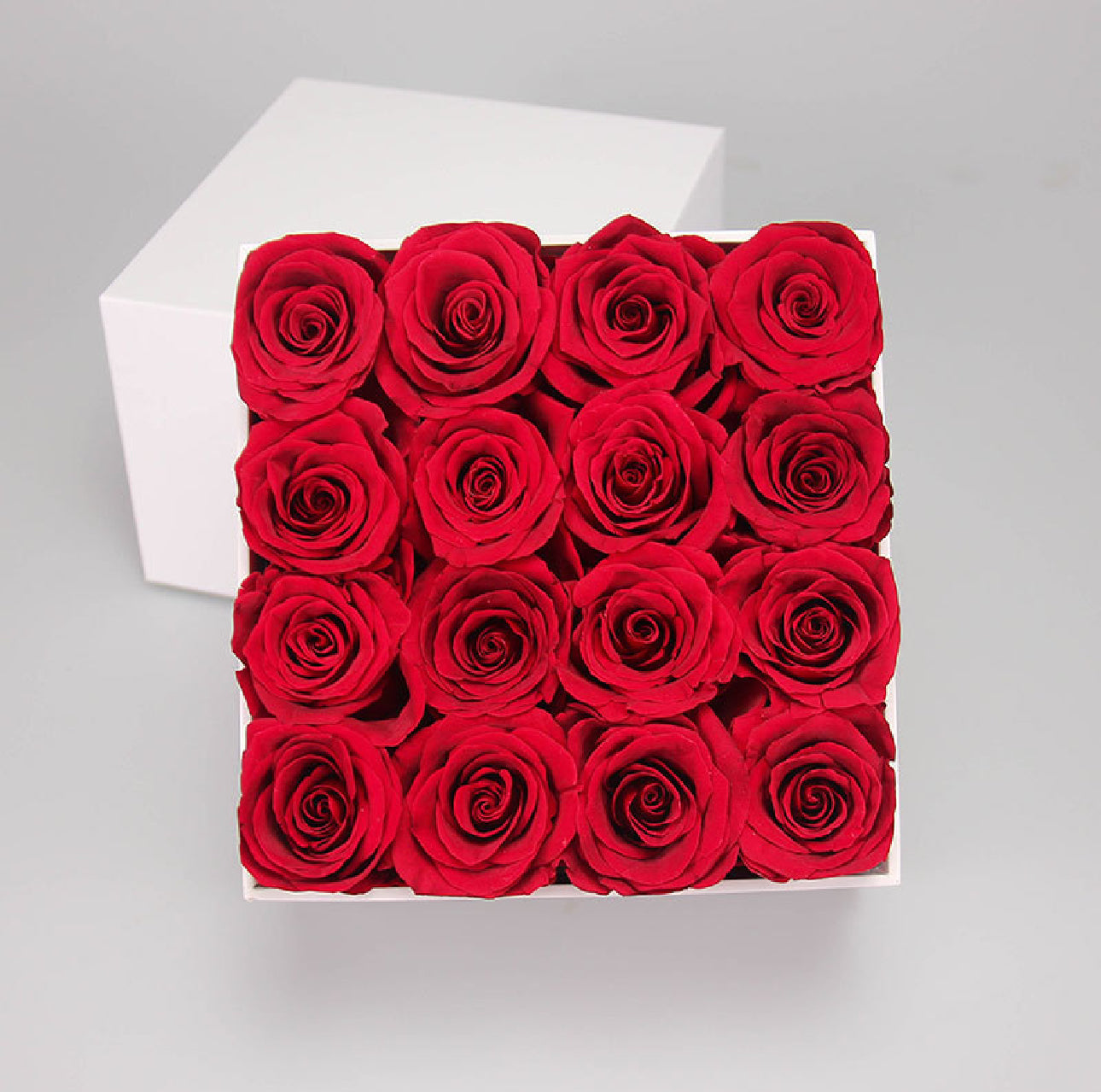 Eternal Preserved Roses in Luxury White Box – Lasts 1–3 Years