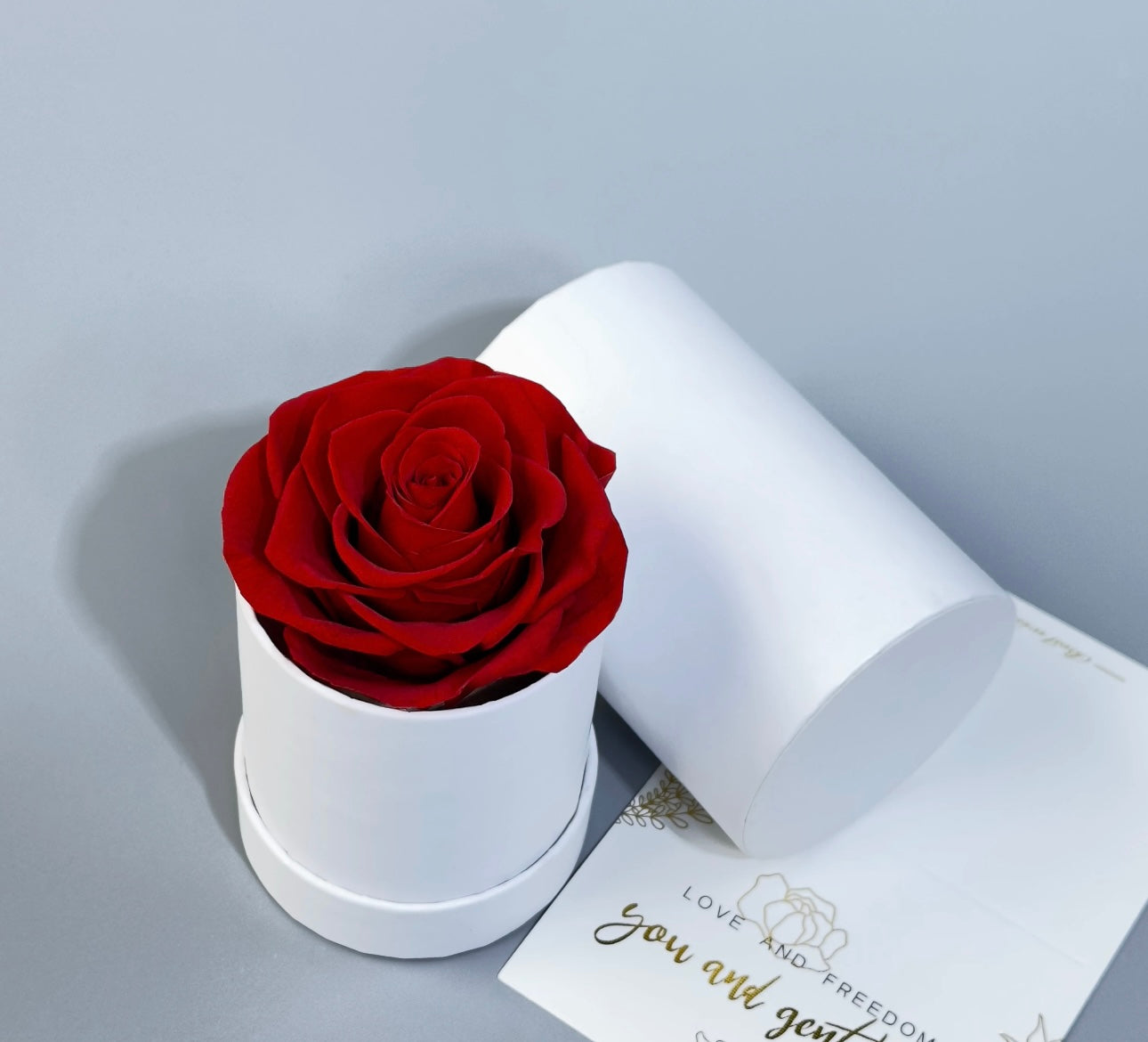 Preserved Red Roses In white Box