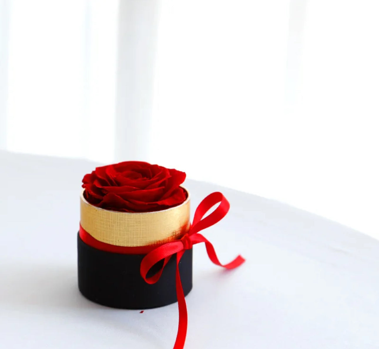 Red preserved Rose