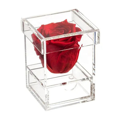 Roses In Acrylic Box