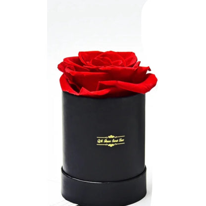 Red preserved Roses in Black Box