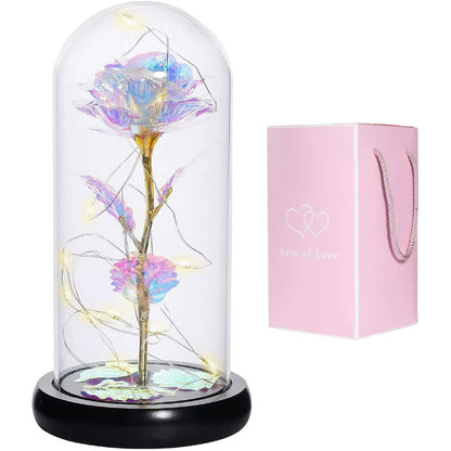 White Glass Dome Combo